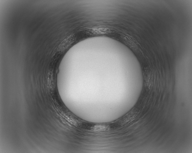 X0000052970418200507300142