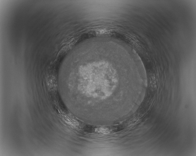 X0000052970419200507300142