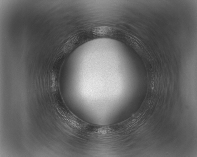 X0000052970420200507300142