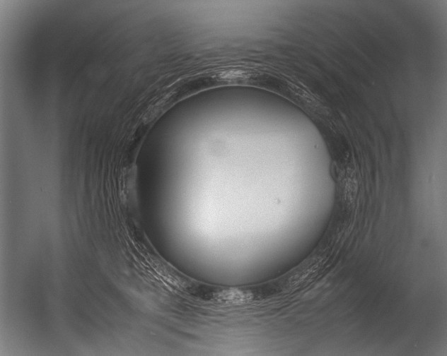 X0000052970421200507300142