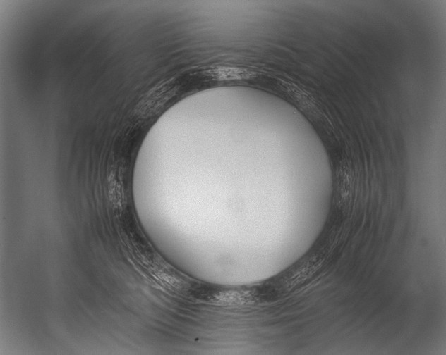 X0000052970422200507300142