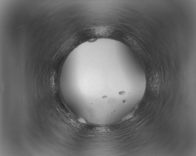 X0000052970424200507300142