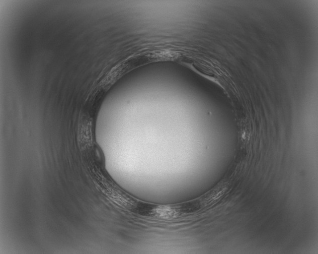 X0000052970425200507300142