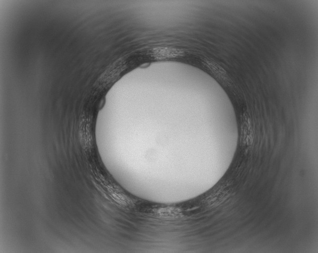 X0000052970426200507300142