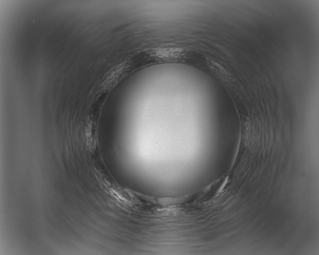 X0000052970428200507300142