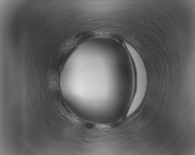 X0000052970429200507300142