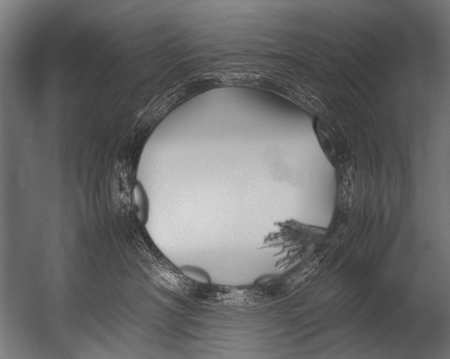 X0000052970430200507300142