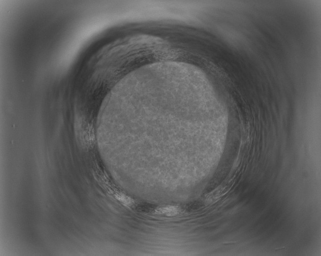 X0000052970431200507300142