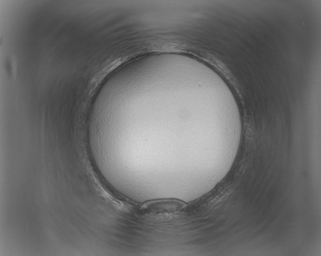 X0000052970433200507300141