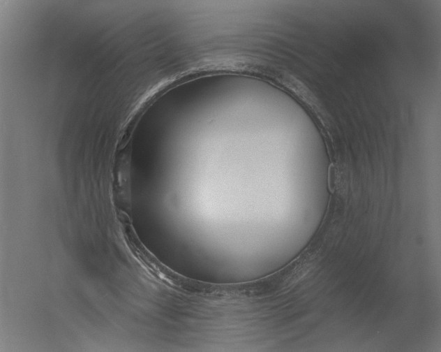 X0000052970434200507300141