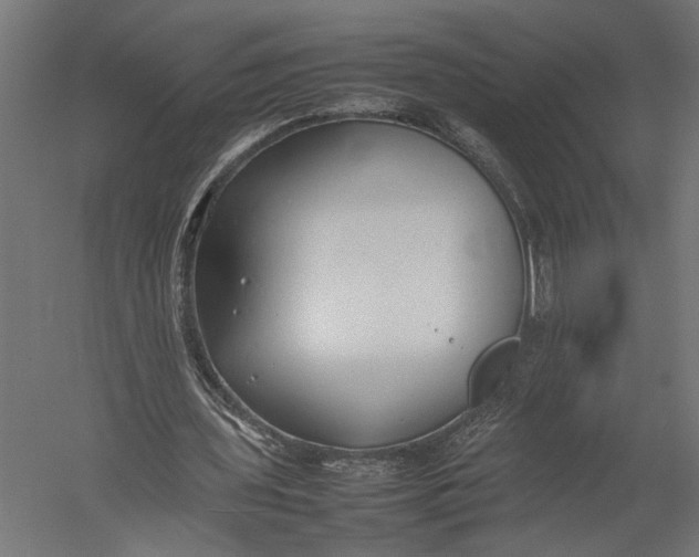 X0000052970435200507300141