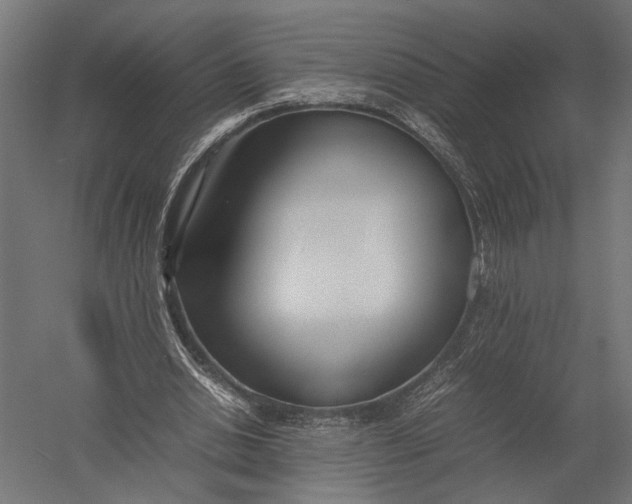 X0000052970438200507300141