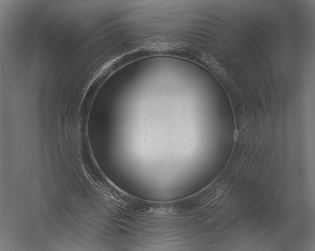 X0000052970440200507300141