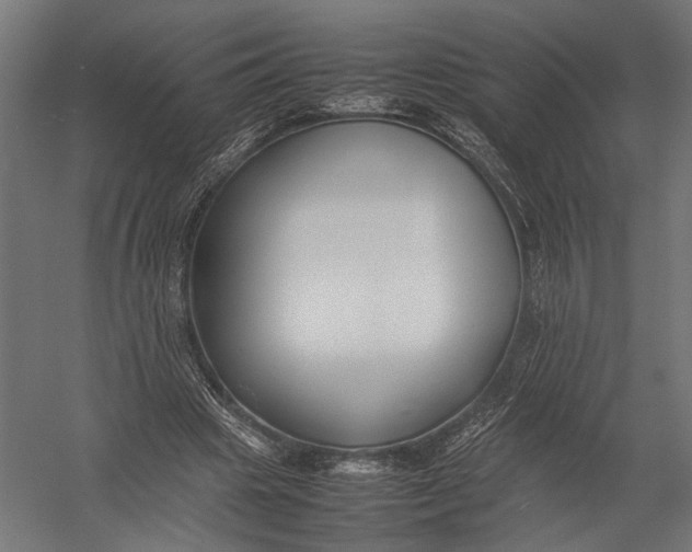 X0000052970441200507300141