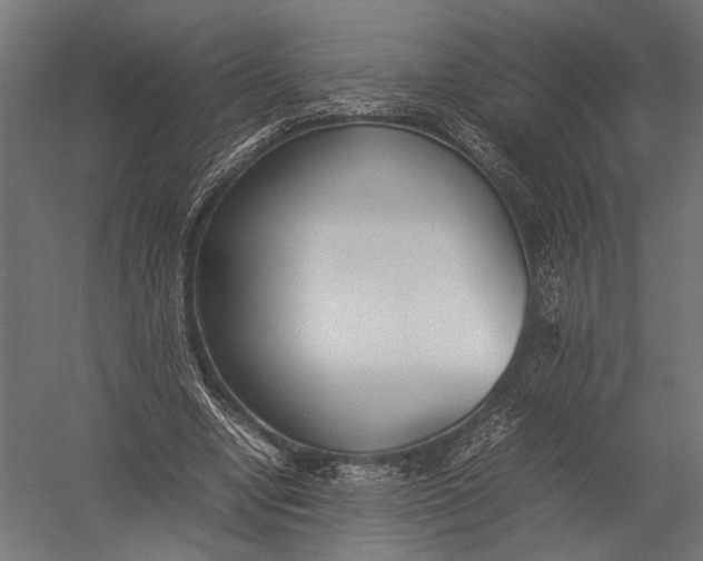 X0000052970442200507300141