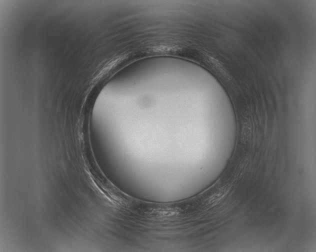 X0000052970443200507300141