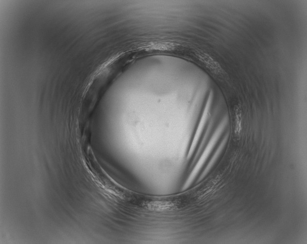 X0000052970444200507300141