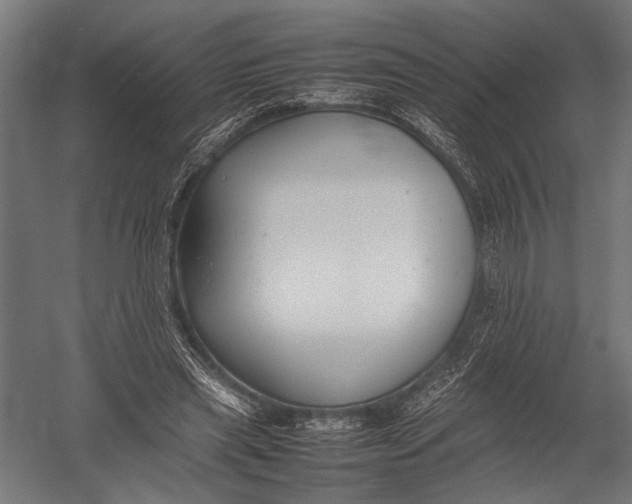 X0000052970445200507300141