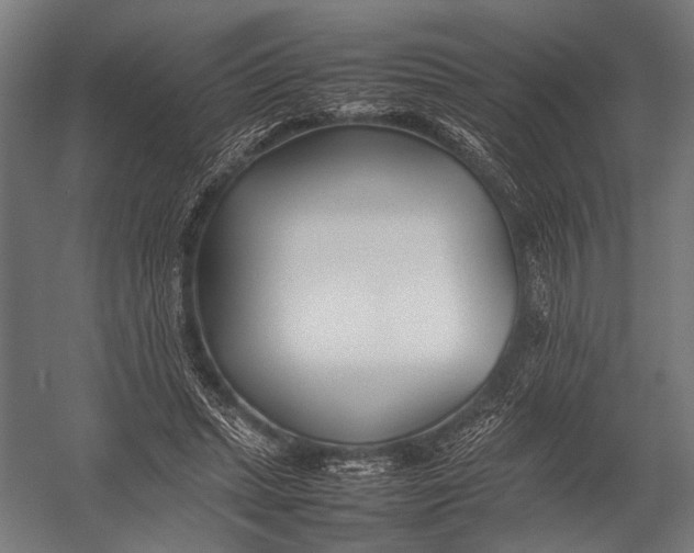 X0000052970447200507300142