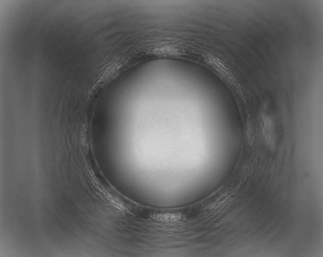 X0000052970449200507300142