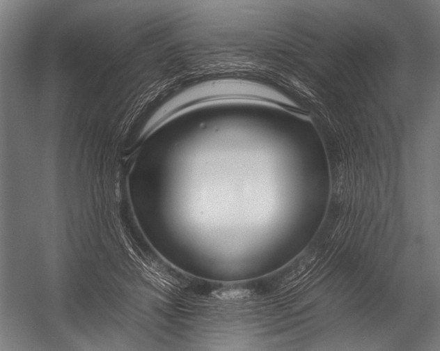 X0000052970452200507300142