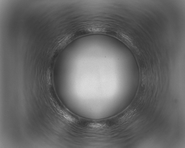 X0000052970453200507300142