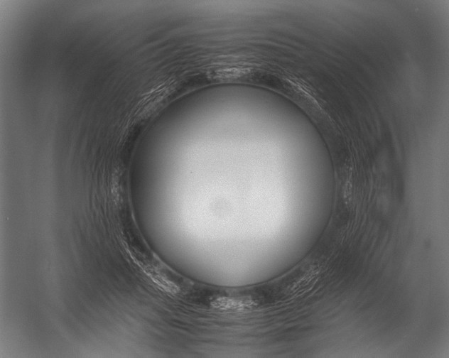 X0000052970455200507300142