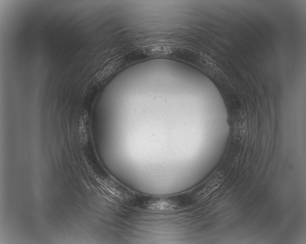 X0000052970460200507300142