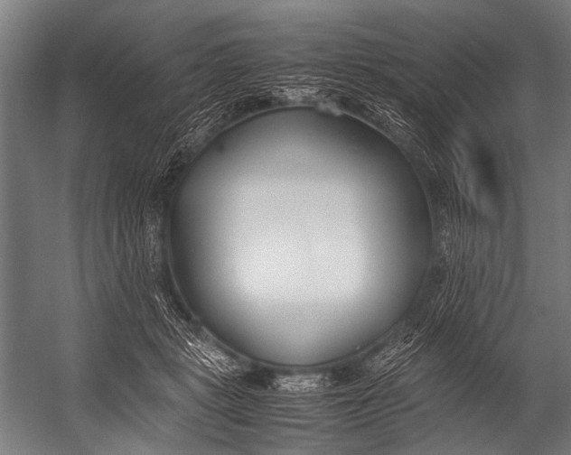 X0000052970461200507300142