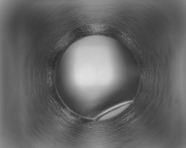 X0000052970462200507300142