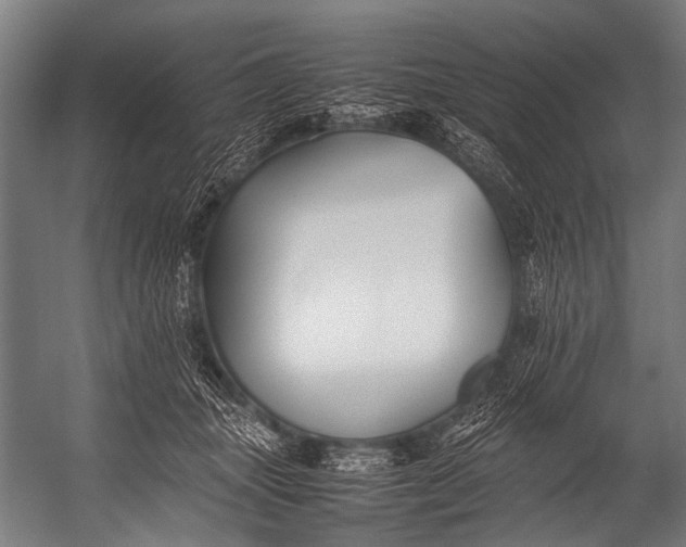 X0000052970463200507300142