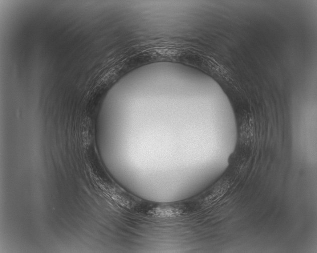 X0000052970464200507300142