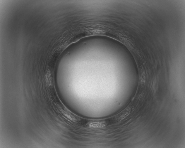 X0000052970465200507300142