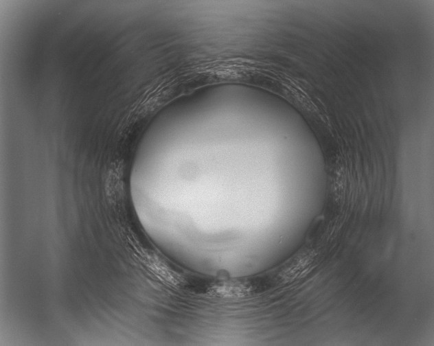 X0000052970466200507300142