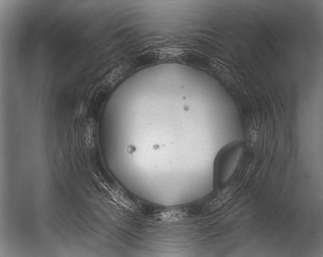 X0000052970468200507300142