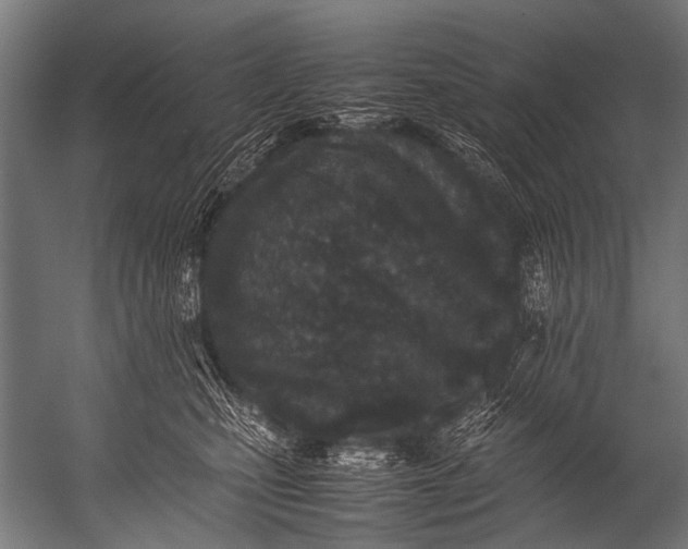 X0000052970471200507300142