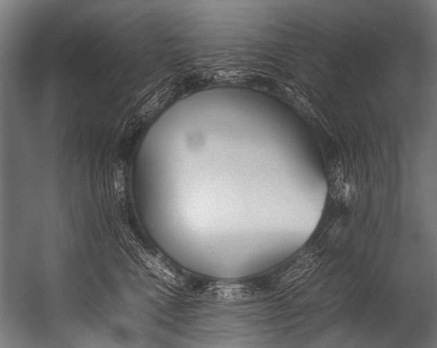 X0000052970472200507300142