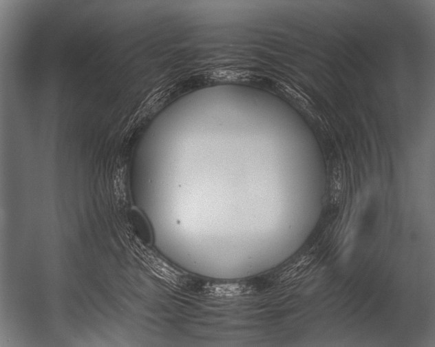 X0000052970473200507300142