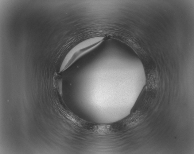 X0000052970474200507300142