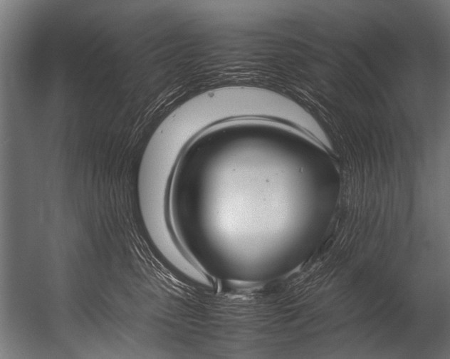 X0000052970475200507300142