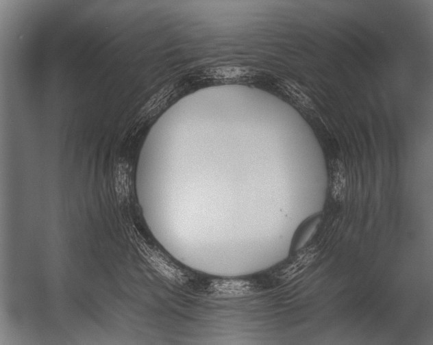 X0000052970476200507300142