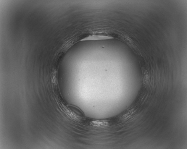 X0000052970477200507300142