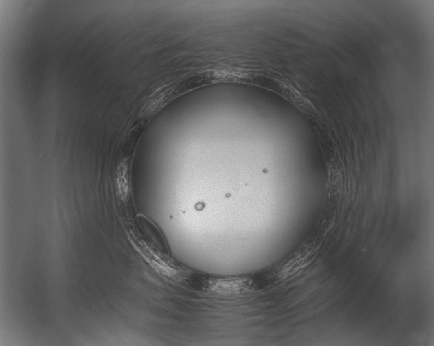 X0000052970479200507300142