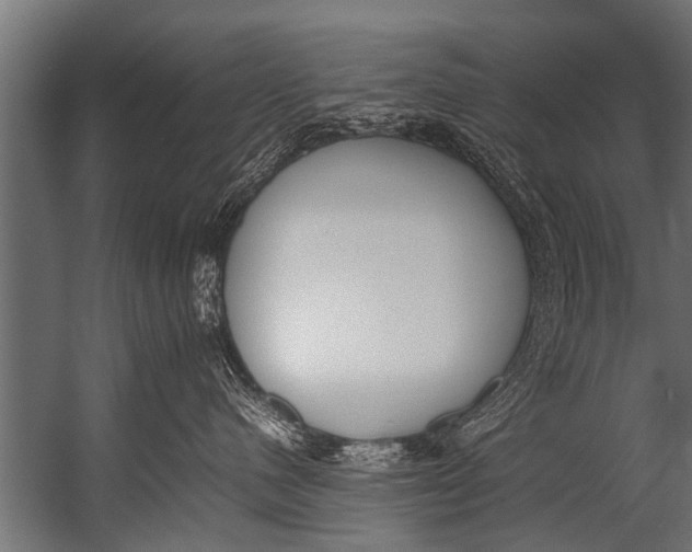 X0000052970480200507300142