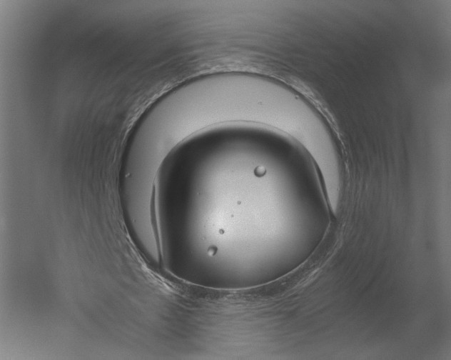 X0000052970481200507300141