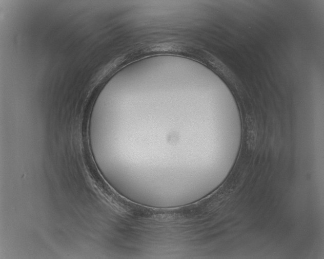 X0000052970482200507300141