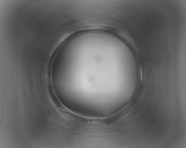 X0000052970483200507300141