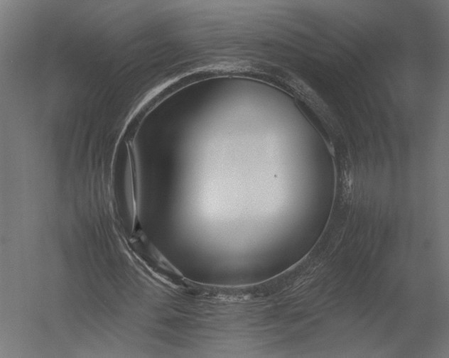 X0000052970484200507300141