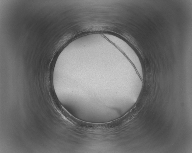 X0000052970485200507300141