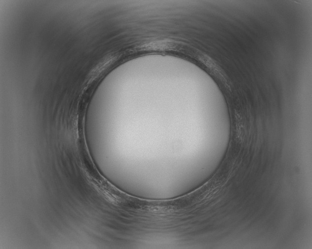 X0000052970486200507300141